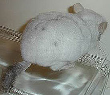 Tan Chinchilla 2