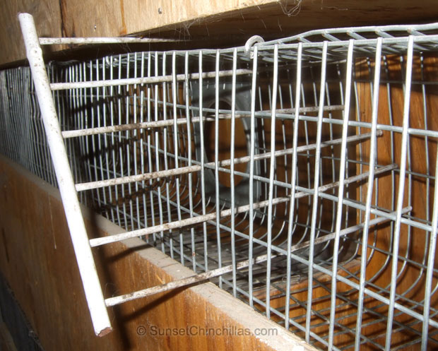 Cage divider